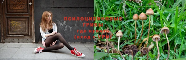 мескалин Каменка