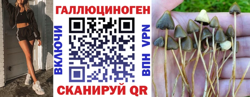 Псилоцибиновые грибы мухоморы  Купить закладки  Куртамыш 